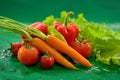 Vegetables - carrots with tops, red tomatoes, red bell pepper, paprika, green salad Royalty Free Stock Photo